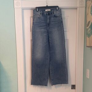 Wide Leg Flare Jeans in Blue